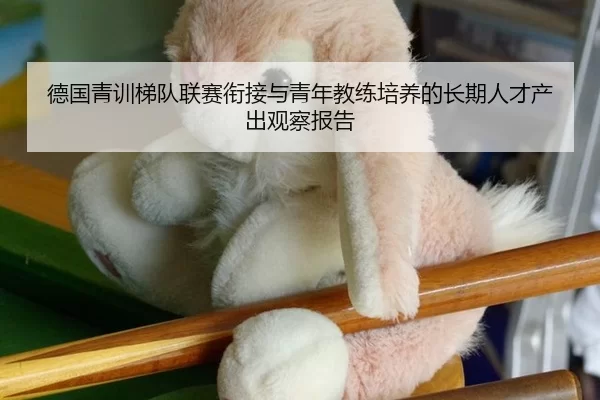 德国青训梯队联赛衔接与青年教练培养的长期人才产出观察报告